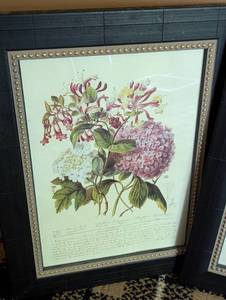 Three Framed Elizabeth Twining Floral Prints