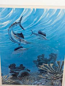 Large Framed Sailfish Print by Michael Hoffman
