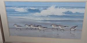 Three Framed Bird Themed Prints