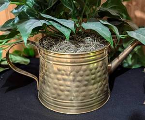 Vintage Brass Decor