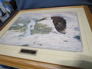Eagles on St Croix Print