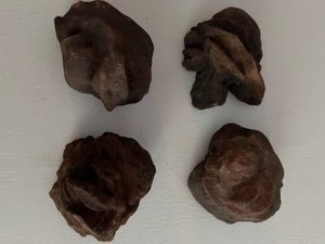 lot 288 image: Unusual ROCKS Meteors, Prophecy Stones Qty 4