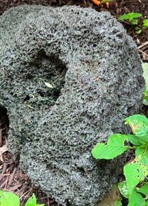 lot 290 image: Large LAVA STONE Garden Decor Focal Point With Turrent Holes