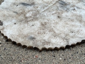 lot 291 image: Fluted Edges MARBLE SLAB Garden Decor Base