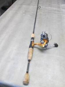 Fishing Rod...