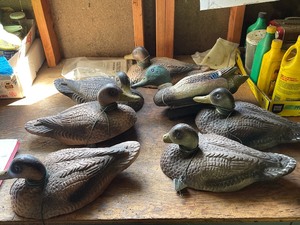 Duck Decoys