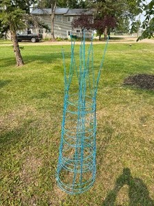 Tomato Cages