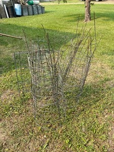 Tomato Cages
