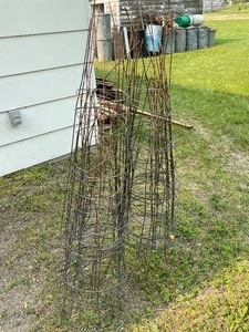 Tomato Cages