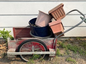 Utility Cart and Planters