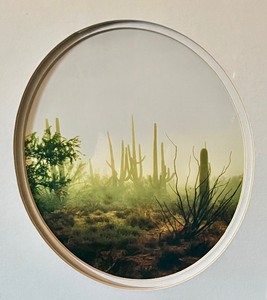 lot 97 image: Framed Arizona Photograph, Stone, Arrowhead and Feather