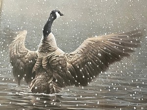 lot 20 image: Robert Batemans Stretching Canada Goose