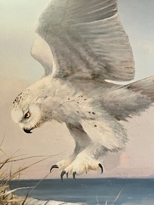 lot 83 image: Owen J. Grommes Snowy Owl and a Lucky Mouse