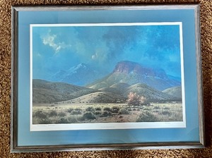 lot 85 image: Michael Stacks In The Huachucas