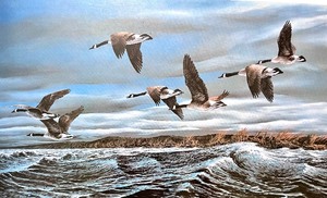 lot 4A image: Terry Redlins White Caps
