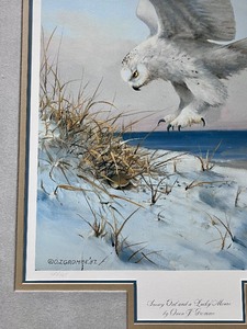 lot 2A image: Owen J. Grommes Snowy Owl and a Lucky Mouse