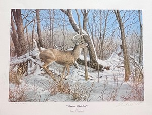 lot 140 image: Richard Plasschaerts Winter Whitetail