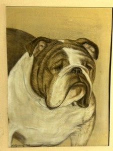 lot 11 image: Vintage Framed ORIGINAL Chalk on Suedeboard BULLDOG Dog Drawing Artist Signed