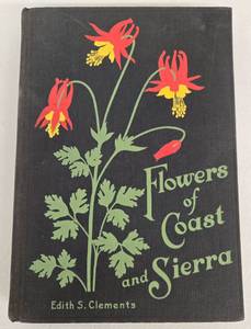lot 166 image: Vintage Flowers of Coast and Sierra Book & Black Pottery Vessel wFlower Frog