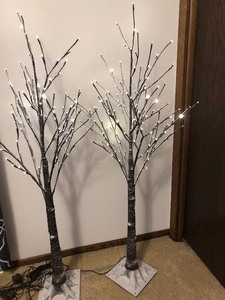Pair of Indoor Sparking Trees