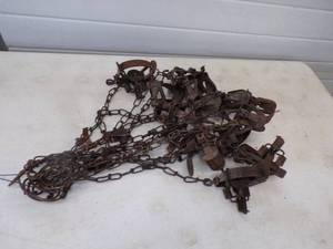 lot 58 image: 12 - Victor # 1 Coil Spring Traps