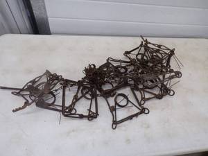 lot 69 image: 12- 110 Conibear Traps