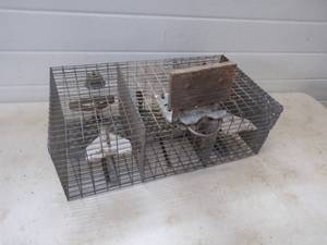 lot 79 image: Sparrow Trap