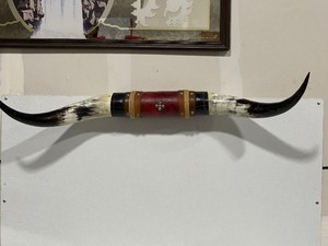 lot 20 image: Longhorn Steer Horns