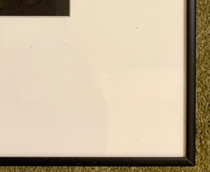 lot 171 image: Beautiful Black and White Framed Photographic Print