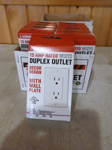 lot 100 image: 10 Designs Edge Duplex Outlets