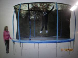lot 16 image: 12 Round Trampoline with Enclosure