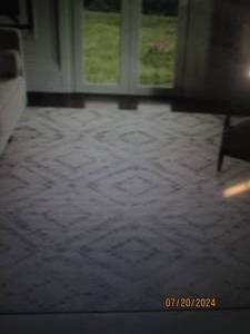lot 54 image: Safavieh Adirondack 131 Collection 8 x 10 Area Rug