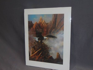 lot 105 image: Ted Blaylock Print - Anasazi Nest Builder II