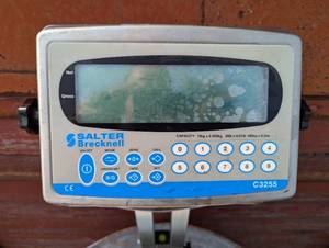 lot 12A image: Salter Brecknell - C3255 Digital Scale - No Power Cord