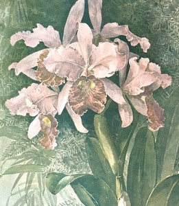lot 37 image: Orchids Print by Paul de Longpre