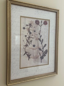 lot 195 image: Framed Botanical Flower Print
