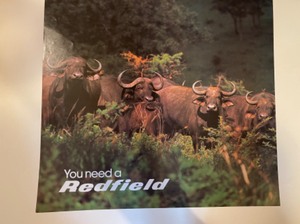lot 15 image: Lot of Assorted Wildlife Posters