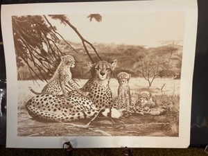 lot 47 image: Cheetah by Ray Harm