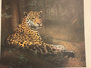 lot 60 image: JAGUAR - by Charles Frac Limited Edition Signed and Numbered  Fine Art Print with Blind Stamp