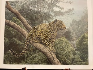 lot 63 image: The Solitary Hunter by Simon Combes - Limited Edition Fine Art Print  - Signed and Numbered