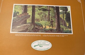 lot 104 image: Lot of 11 Frederick Remington prints, suitable for framing