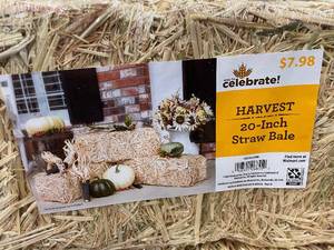 lot 18 image: Harvest 20-Inch Straw Bales - Lot of 3