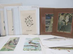 lot 195 image: HUGE Lot of Antique Matted Artwork Lithographs Book Plates etc