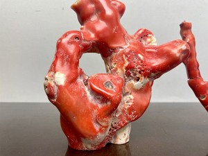 lot 448 image: 2 Large Pieces of Genuine Natural  Coral