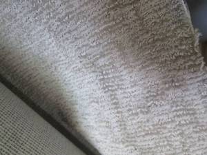 lot 31 image: (HG) Carpet Remnant 12 Ft x 12 Ft 2...
