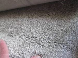 lot 34 image: (HG) Carpet Remnant 12 Ft x 7 Ft 10...