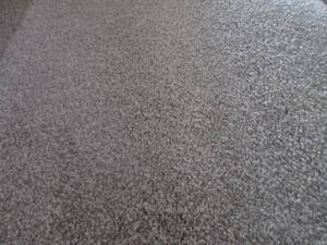 lot 36 image: (HG) Carpet Remnant 12 Ft x 9 Ft...