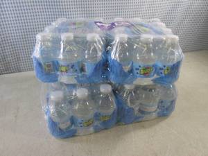 lot 199 image: (C-2) 2 - 24-Packs of Splash Acai G...