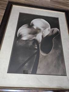 lot 95 image: Magical Fine Art Print - Orchid