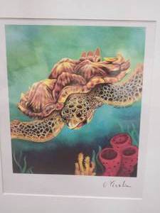 lot 93 image: SIGNED Playful Fine Art Print - C. Vicolia - Sea Turtle